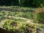 145, le "jardin"